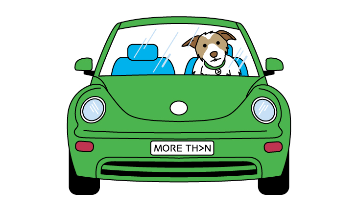 Dog in Car